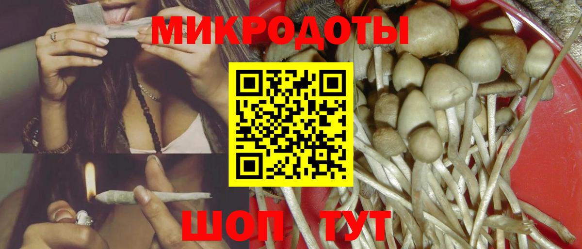 Галлюциногенные грибы MAGIC MUSHROOMS Великий Новгород